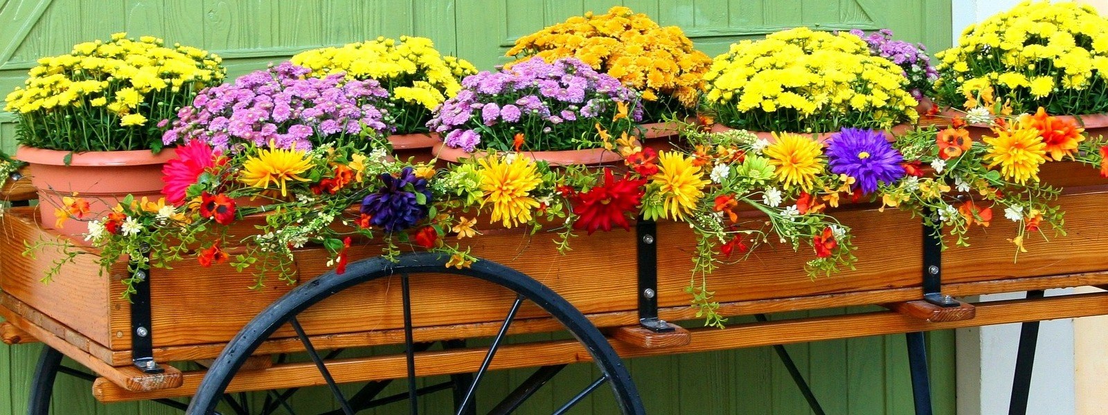 Arrangement en pots avec des fleurs annuelles